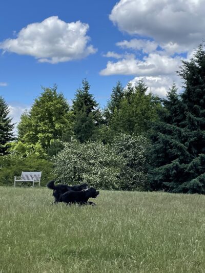 Ike Memorial Park - Vancouver, WA