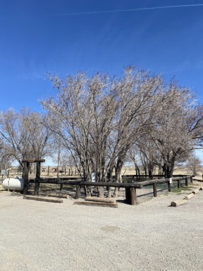 Lalo's Dog Park - Vaughn, NM