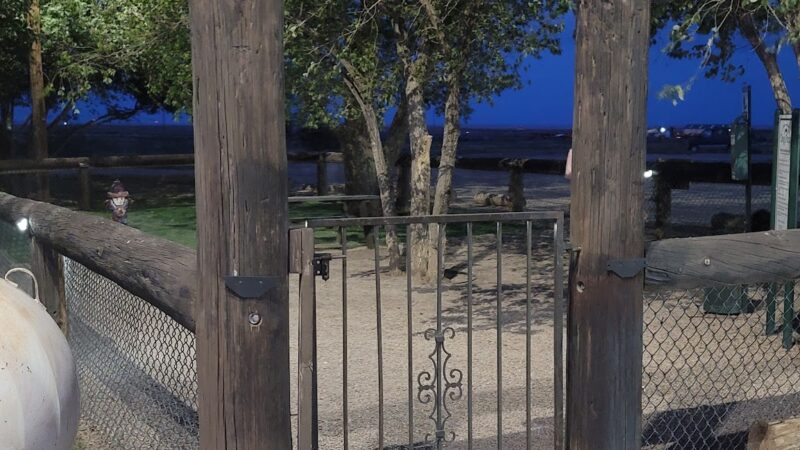 Lalo's Dog Park - Vaughn, NM