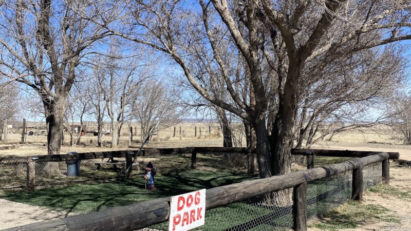 Lalo's Dog Park - Vaughn, NM