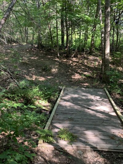 Buck Hill Conservation Area - Veazie, ME