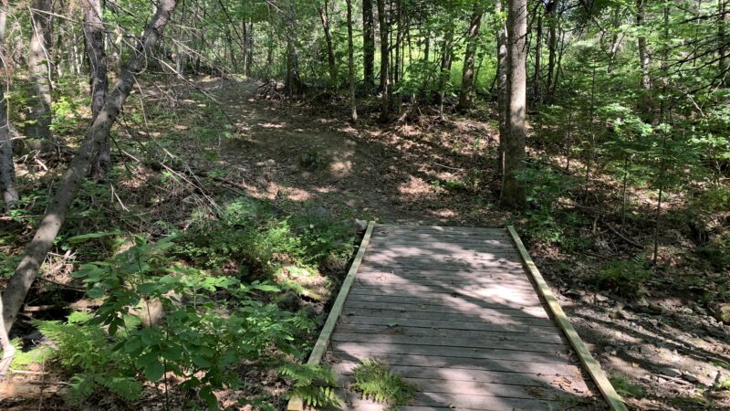 Buck Hill Conservation Area - Veazie, ME