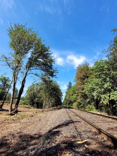 City of Veneta Dog Park - Veneta, OR