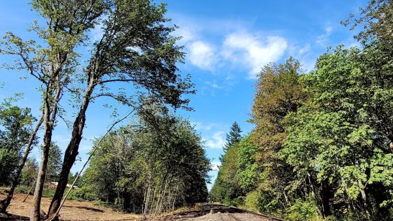 City of Veneta Dog Park - Veneta, OR