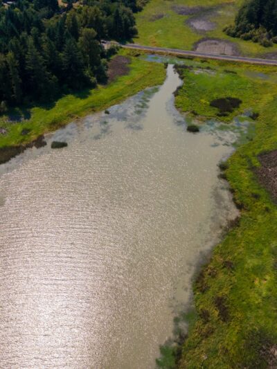 Jeans Park North - Veneta, OR