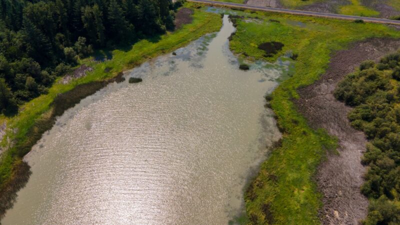 Jeans Park North - Veneta, OR