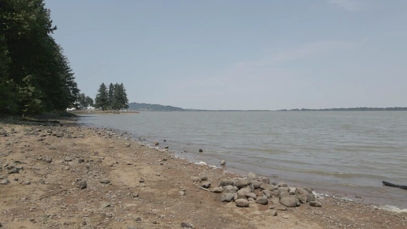 Jeans Park North - Veneta, OR