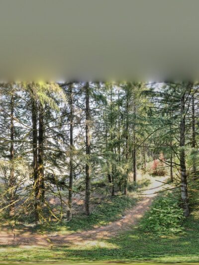 Jeans Park North - Veneta, OR