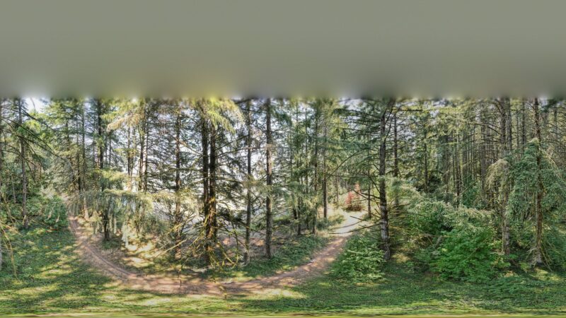 Jeans Park North - Veneta, OR