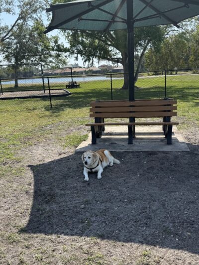 Blue Heron Park - Venice, FL
