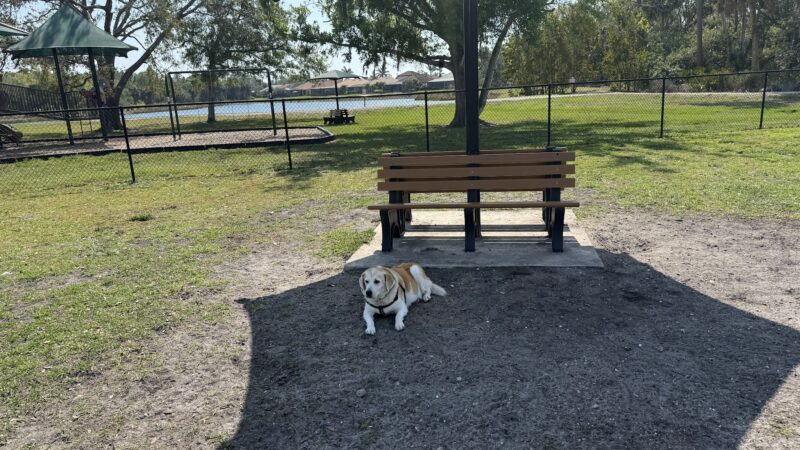 Blue Heron Park - Venice, FL