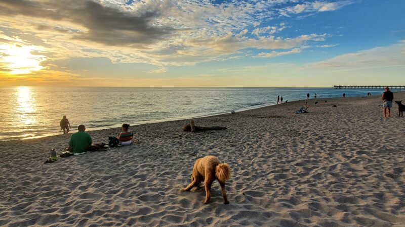 South Brohard Beach Paw Park - Venice, FL