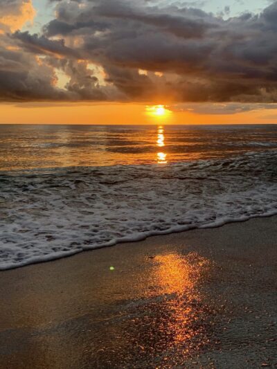 South Brohard Beach Paw Park - Venice, FL