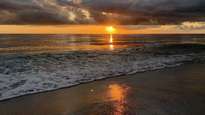 South Brohard Beach Paw Park - Venice, FL
