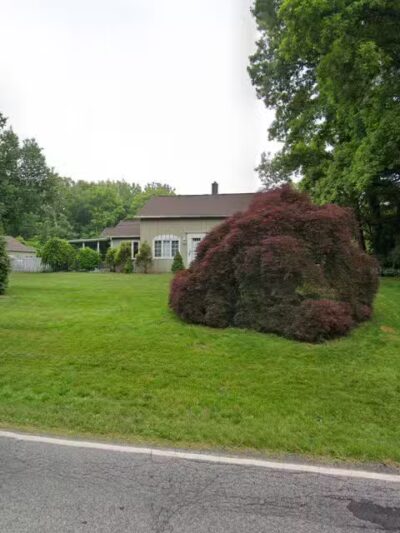 Vermilion Ohio Dog Park - By Reservation Only - Vermilion, OH