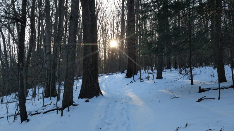 Arnold Park - Vestal, NY