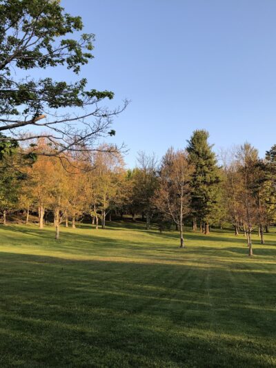 Arnold Park - Vestal, NY