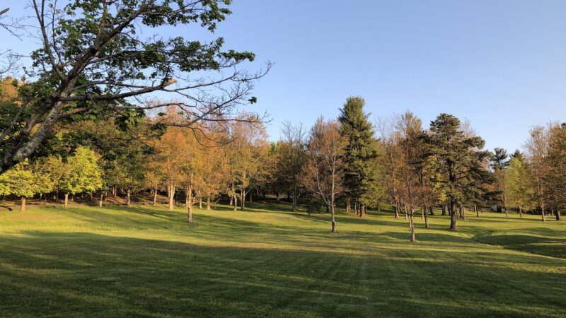 Arnold Park - Vestal, NY