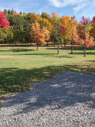 Arnold Park - Vestal, NY