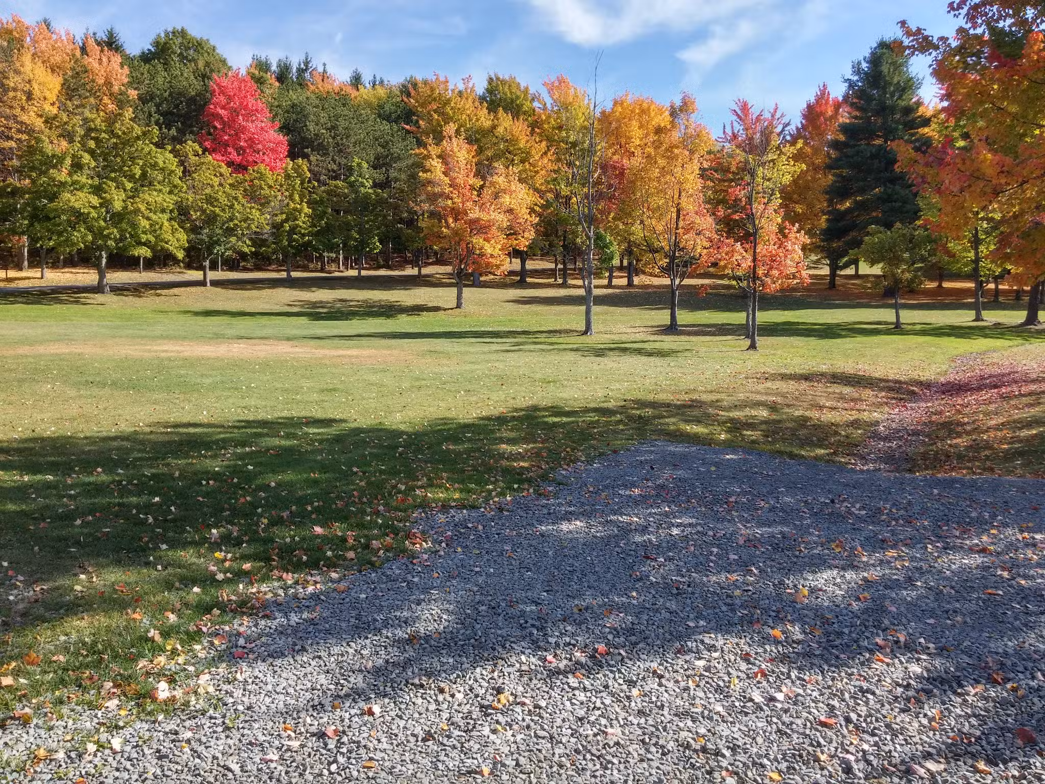 Arnold Park - Vestal, NY