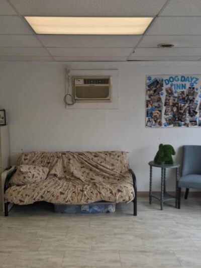 Dog Dayz Inn - Vestal, NY