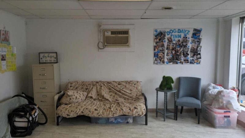 Dog Dayz Inn - Vestal, NY