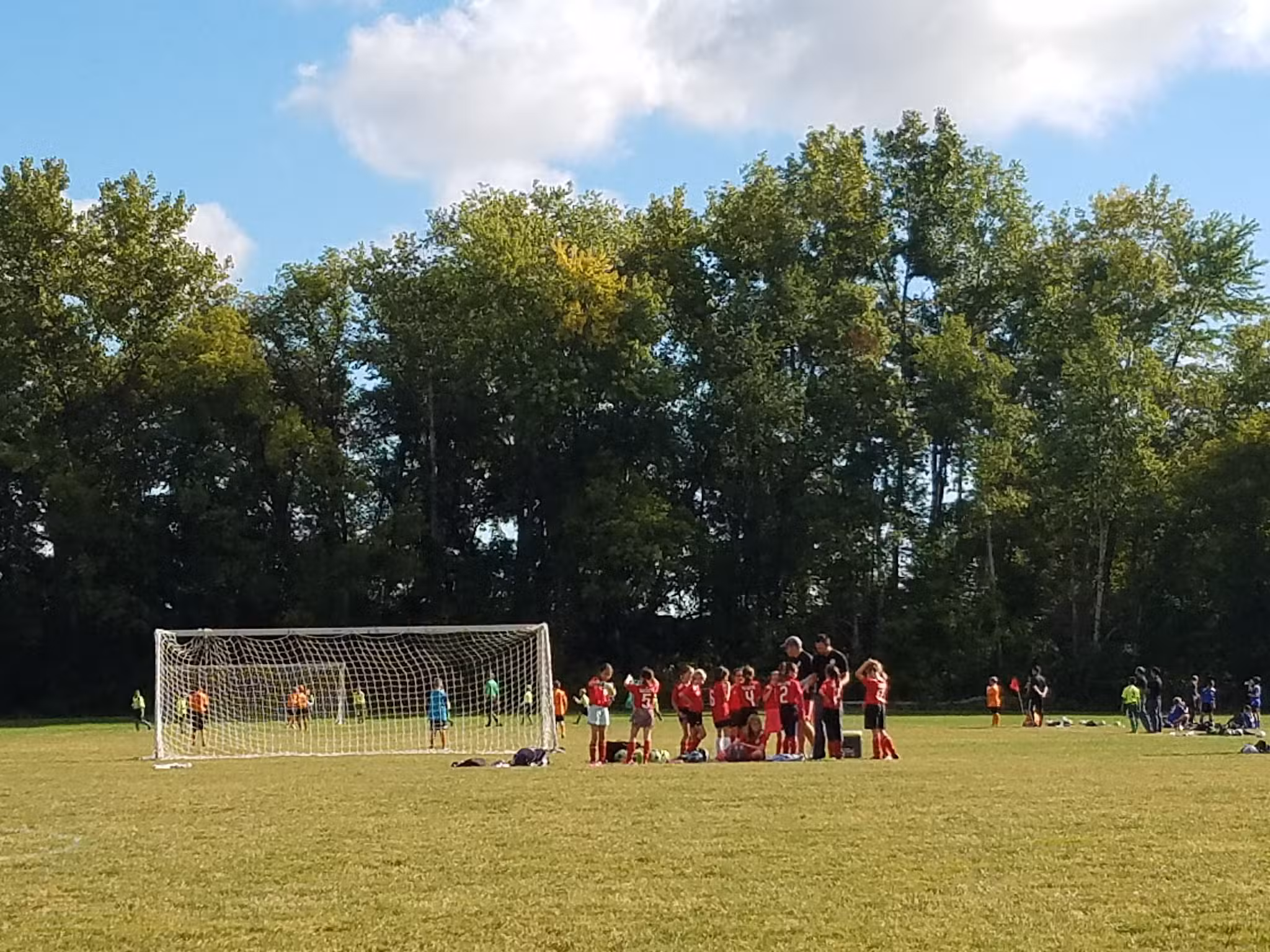 Harold Moore Park - Vestal, NY
