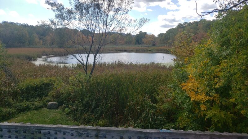 Twin Orchard Park - Vestal, NY