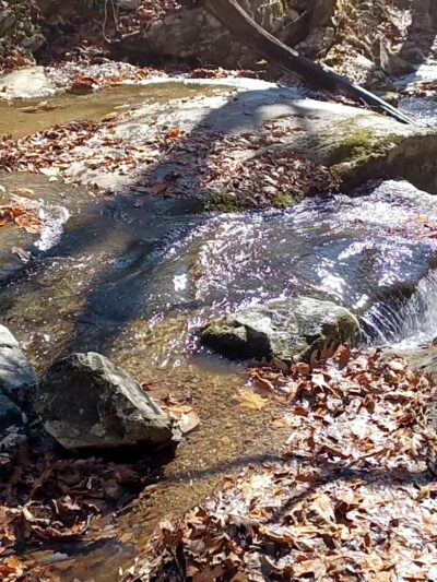 White Rock Falls Trailhead - Vesuvius, VA