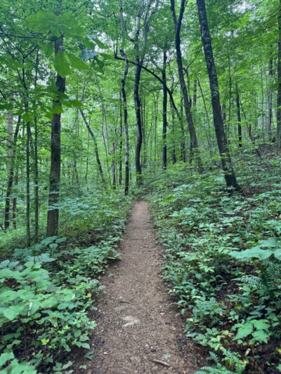 White Rock Falls Trailhead - Vesuvius, VA