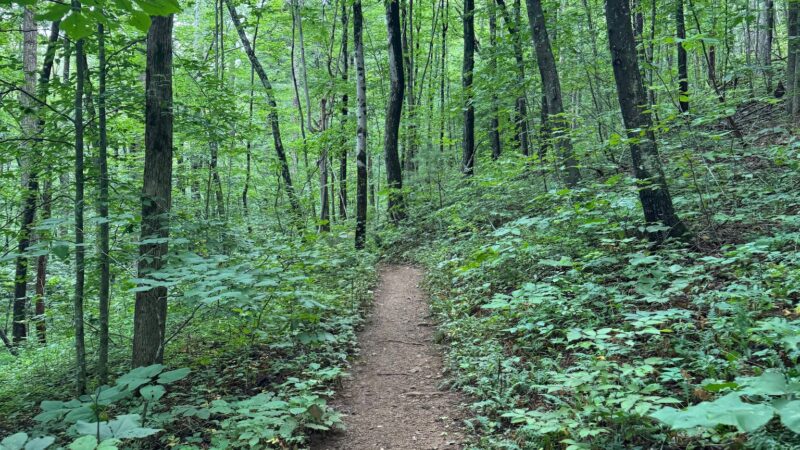 White Rock Falls Trailhead - Vesuvius, VA