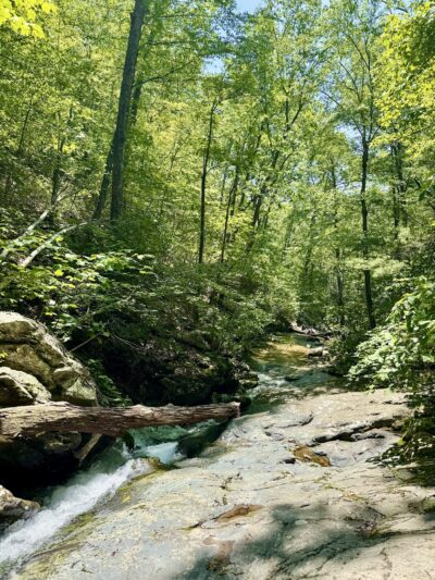 White Rock Falls Trailhead - Vesuvius, VA
