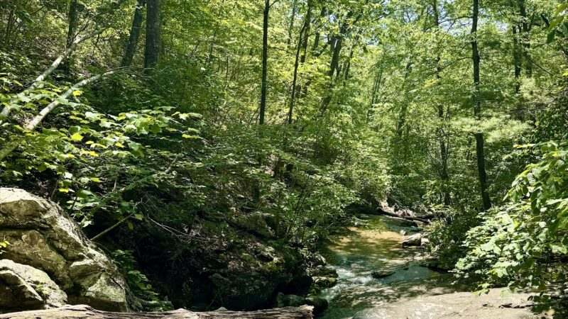 White Rock Falls Trailhead - Vesuvius, VA