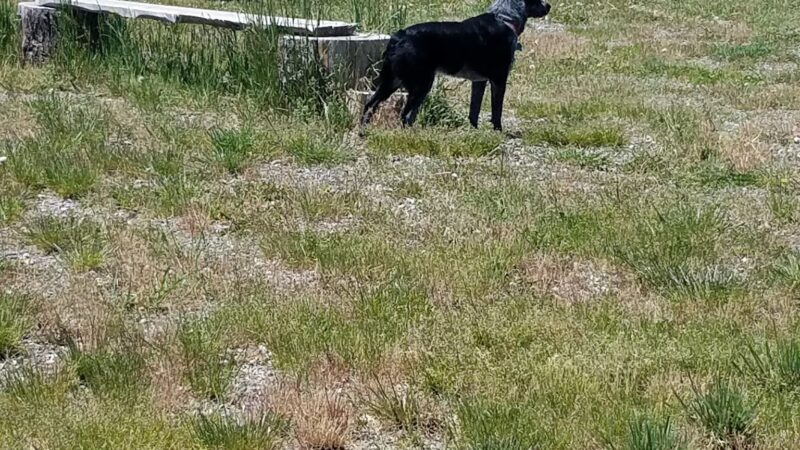 Sherman Park - Victor, ID