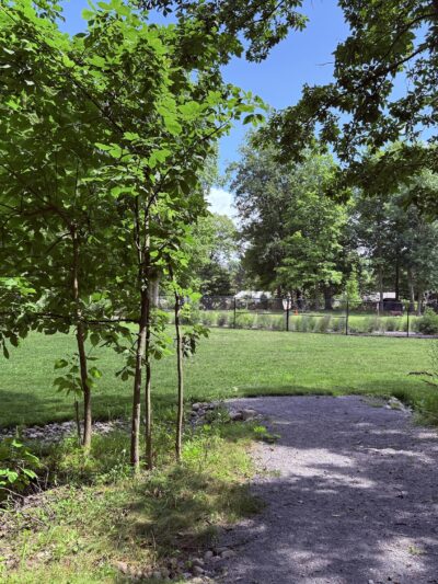 Harlan Fisher Park - Victor, NY