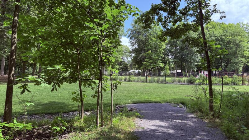 Harlan Fisher Park - Victor, NY