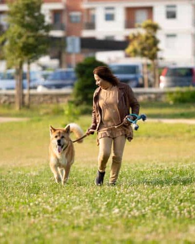 Reserve Dog Park - Vienna, VA
