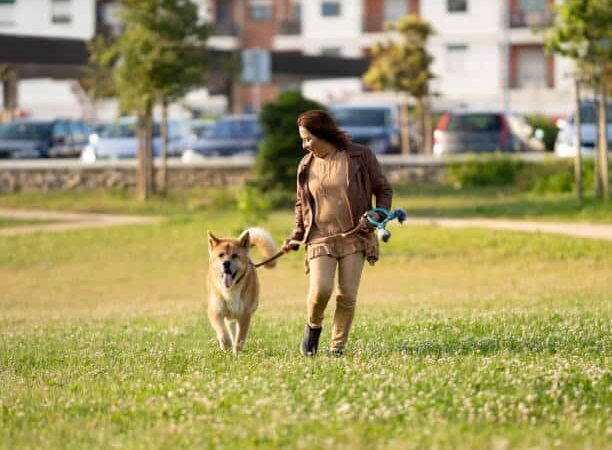 Reserve Dog Park - Vienna, VA