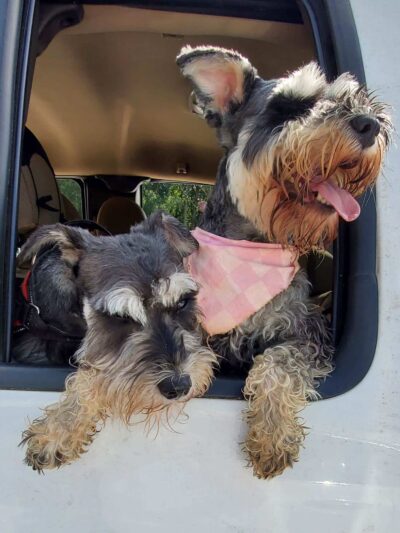 Chippie's Place - Villa Rica, GA