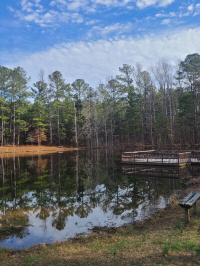 Clinton Nature Preserve - Villa Rica, GA