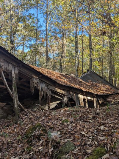 Clinton Nature Preserve - Villa Rica, GA
