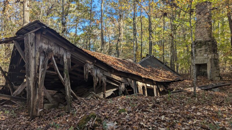 Clinton Nature Preserve - Villa Rica, GA