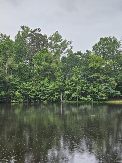 Clinton Nature Preserve - Villa Rica, GA