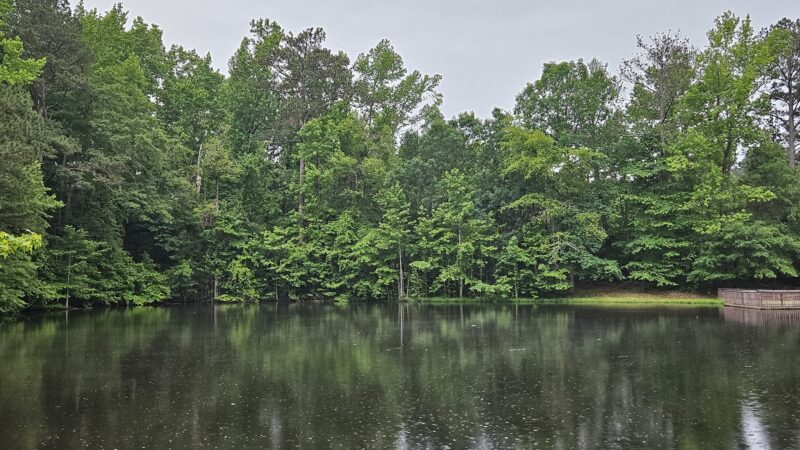 Clinton Nature Preserve - Villa Rica, GA