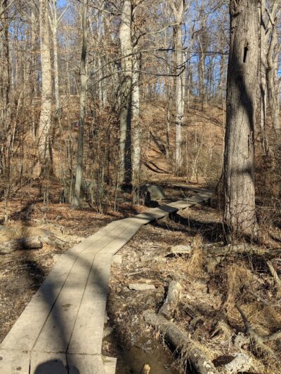 Skunk Hollow Park - Villanova, PA