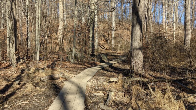 Skunk Hollow Park - Villanova, PA