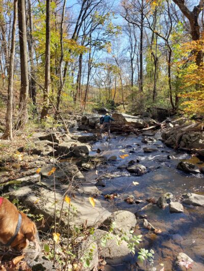 Skunk Hollow Park - Villanova, PA