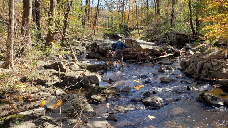 Skunk Hollow Park - Villanova, PA