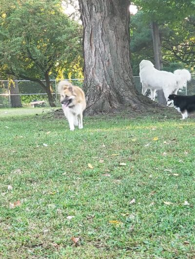 Hillcrest Park - Vincennes, IN