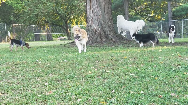 Hillcrest Park - Vincennes, IN